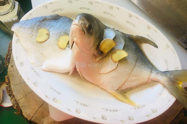清蒸金鲳鱼的做法图解2