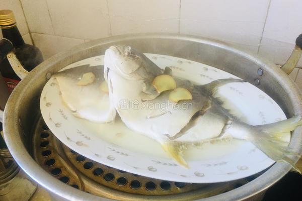 清蒸金鲳鱼的做法图解4