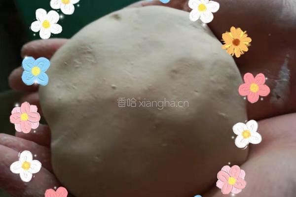 珍珠奶茶的做法图解1