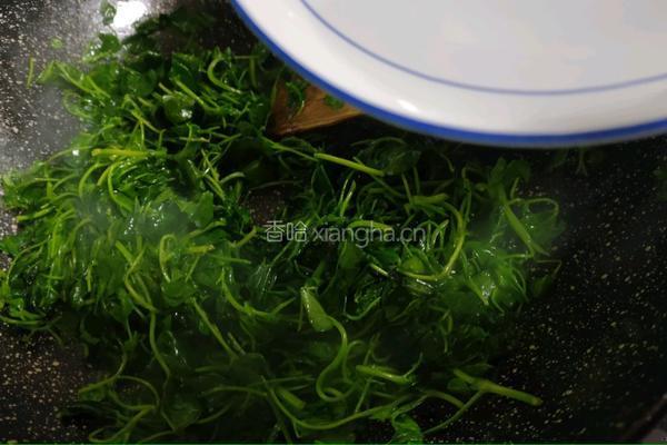 炒草头的做法图解7