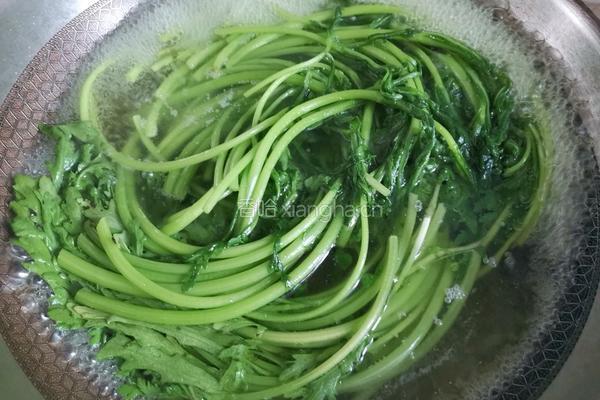 凉拌茼蒿的做法图解2