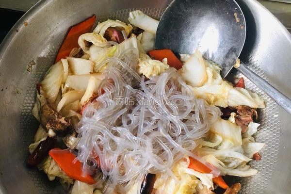 白菜粉条烩腊鸭的做法图解9