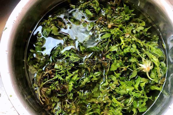 荠菜拌香干的做法图解2