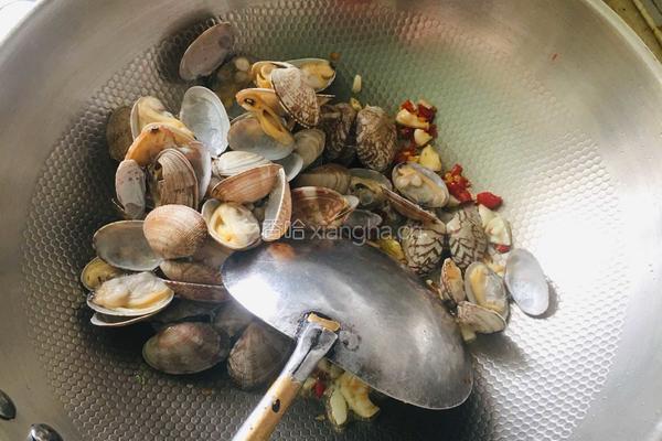 香辣花蛤的做法图解2