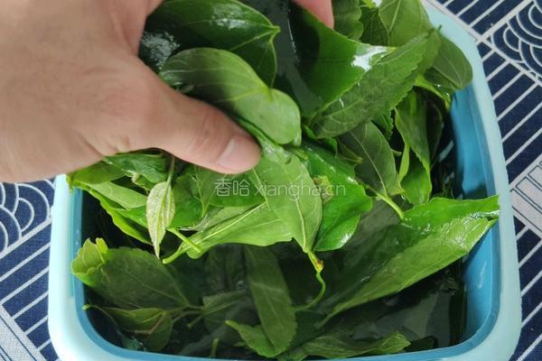 潮汕朴籽粿(潮汕版抹茶蛋糕)的做法图解2