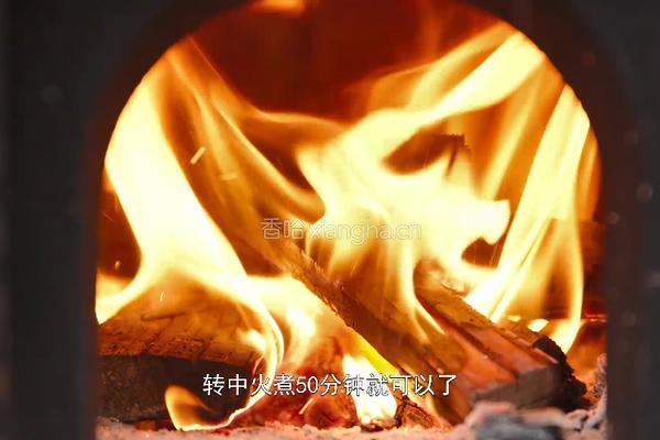 红姐秘制卤水 卤肉吃太香了的做法图解12