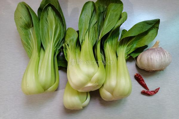 蒜香油菜的做法图解1