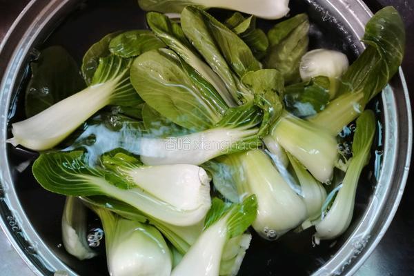 蒜香油菜的做法图解2