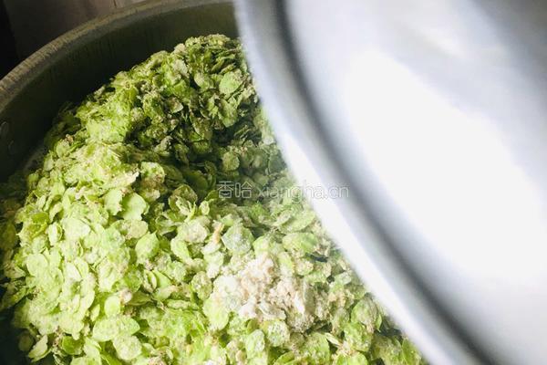 蒸榆钱儿的做法图解6