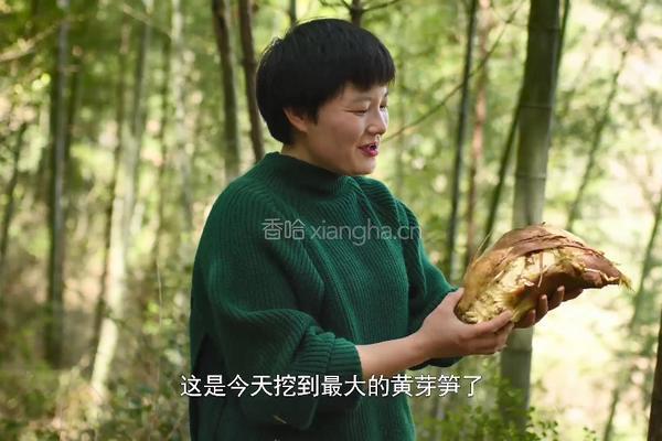 油焖春笋 时令春笋经典做法 脆嫩鲜美又不腻口的做法图解1