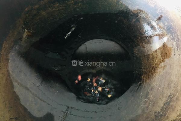 炝拌苜蓿的做法图解5