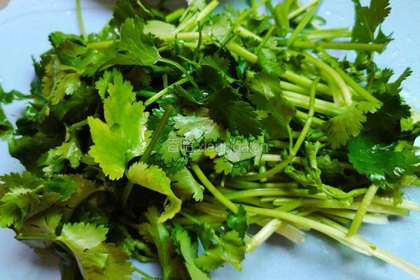 香菜萝卜丝的做法图解5