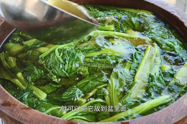 自制酸菜做酸菜鱼总共花费不到20块在家就能做的做法图解7