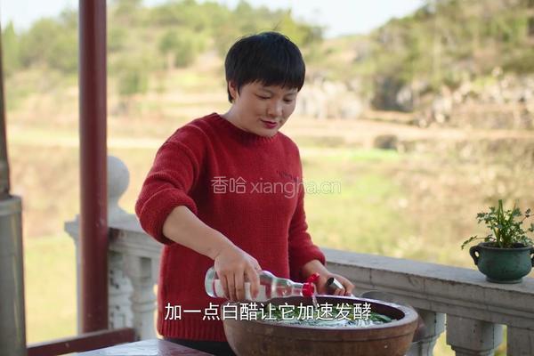 自制酸菜做酸菜鱼总共花费不到20块在家就能做的做法图解8