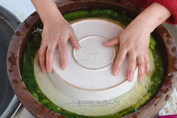 自制酸菜做酸菜鱼总共花费不到20块在家就能做的做法图解9