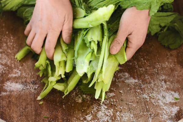 自制酸菜做酸菜鱼总共花费不到20块在家就能做的做法图解12