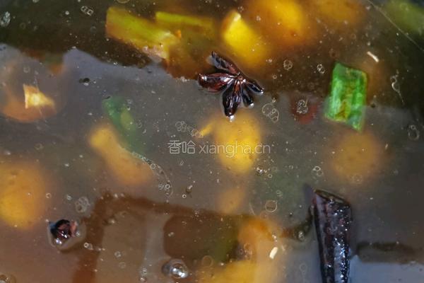 红烧黑鱼的做法图解8