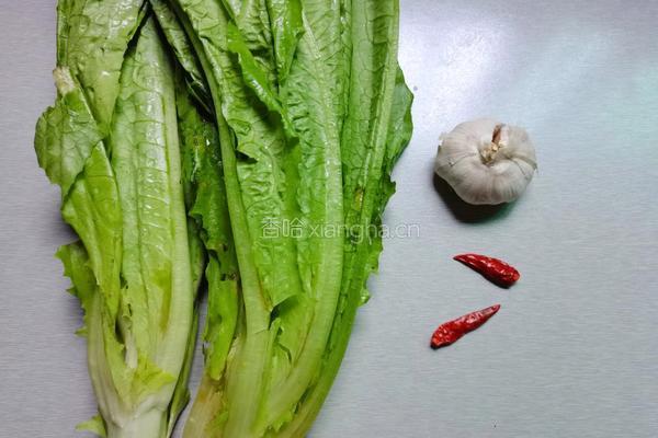蒜香油麦菜的做法图解1