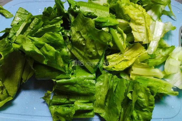 蒜香油麦菜的做法图解3