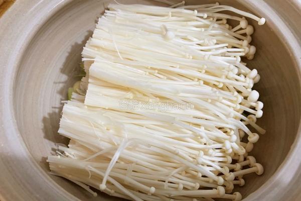 白菜豆腐煲的做法图解7