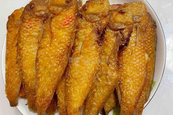 香煎莺歌鱼的做法图解3