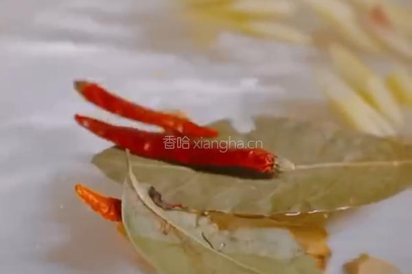 家庭版冬阴功牛肉粉的做法图解4