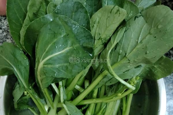 玉米豆腐汤面的做法图解4