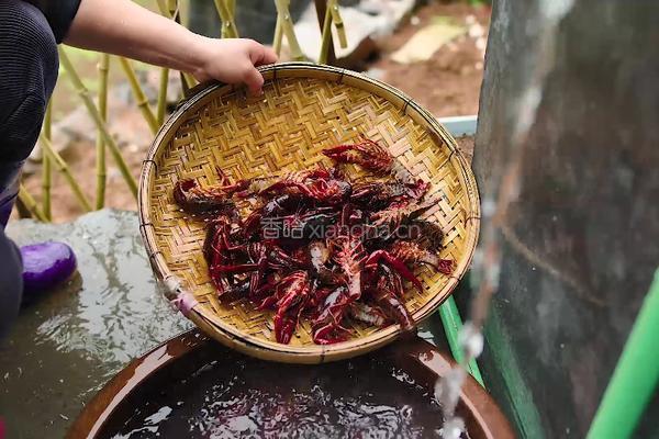 臭豆腐口味虾 湖南特色二合一 真有味道的做法图解2