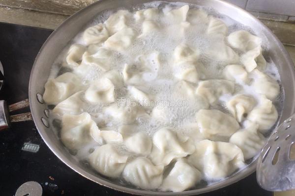 家庭版荠菜饺子的做法图解8