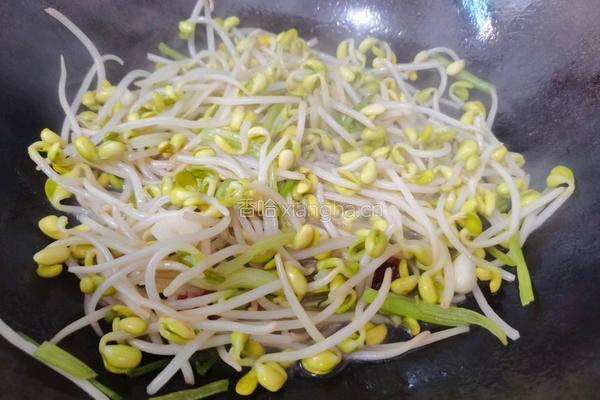 清炒黄豆芽的做法图解13