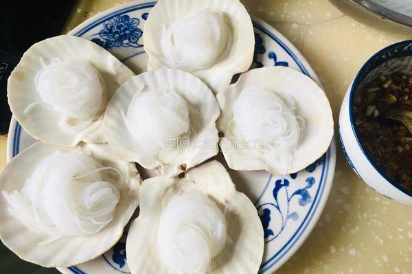 简版蒜蓉粉丝蒸扇贝的做法图解5