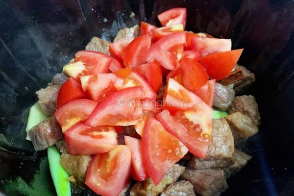 番茄牛腩炖土豆的做法图解12