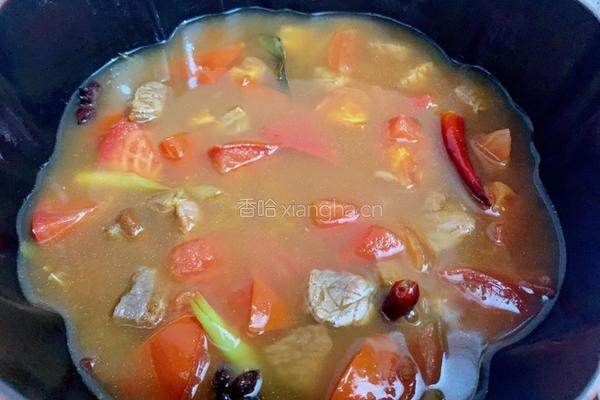 番茄牛腩炖土豆的做法图解13