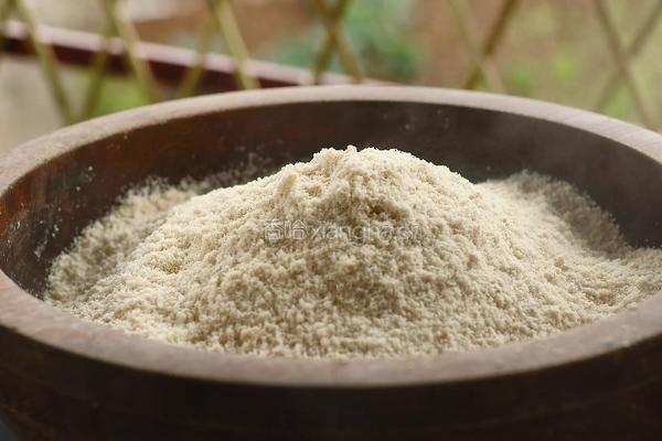 榨豆浆剩下来的豆渣做成霉豆渣 和五花肉一起炒太香了的做法图解2