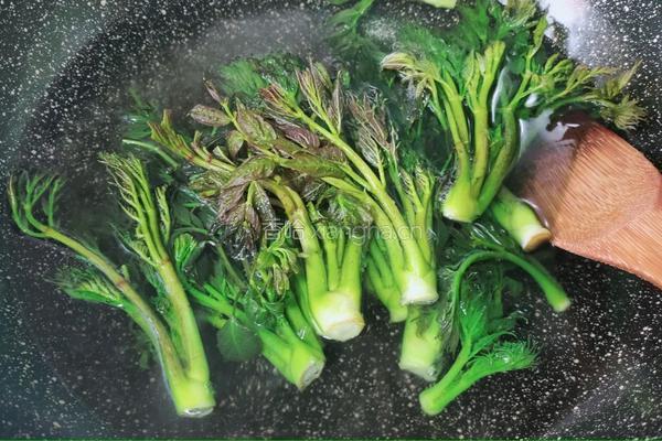 刺老芽炒蛋的做法图解5