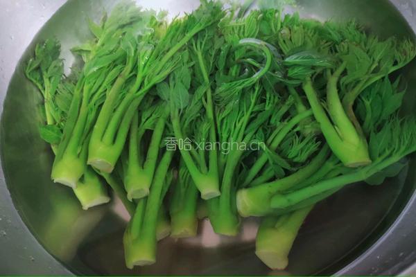 刺老芽炒蛋的做法图解6