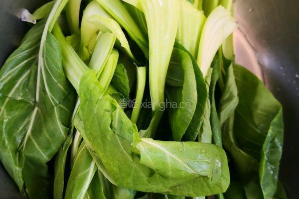 香菇油菜的做法图解3