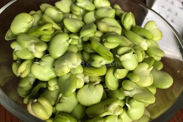 蚕豆糕的做法图解1