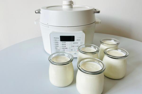 低糖无添加的电饭煲老酸奶的做法图解5