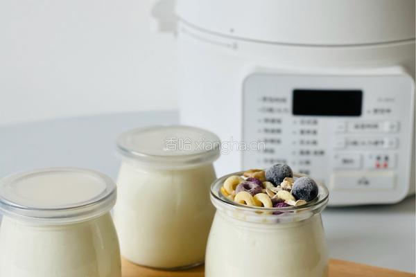 低糖无添加的电饭煲老酸奶的做法图解6