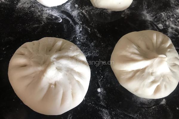 洋葱猪肉包子的做法图解18