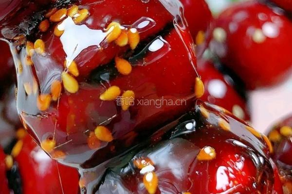 红糖冰葫芦的做法图解1