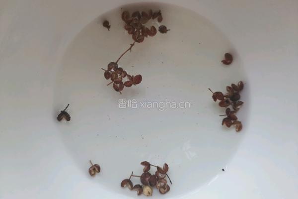 洋葱猪肉包子的做法图解4