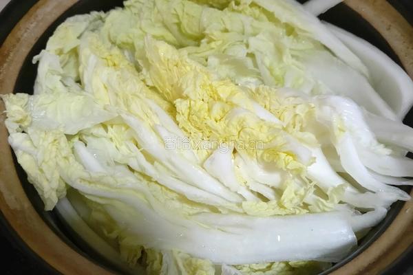 白菜粉丝煲的做法图解3