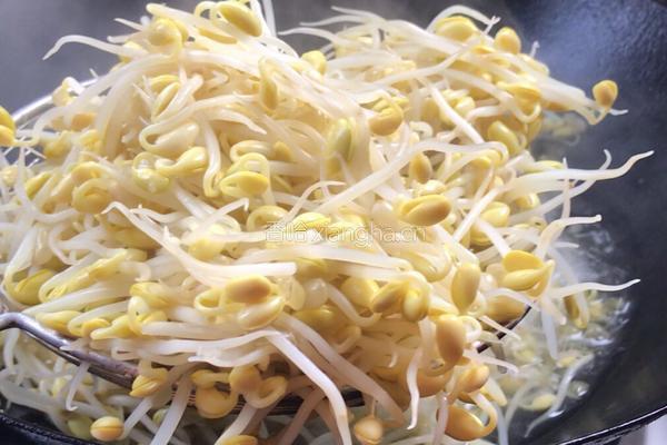 干煸黄豆芽的做法图解3