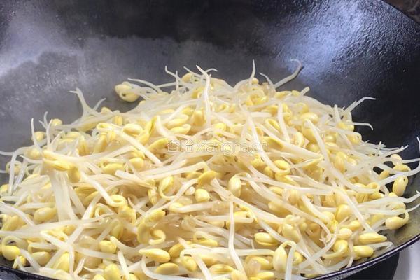 干煸黄豆芽的做法图解5