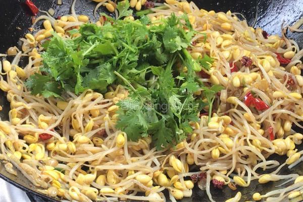 干煸黄豆芽的做法图解9
