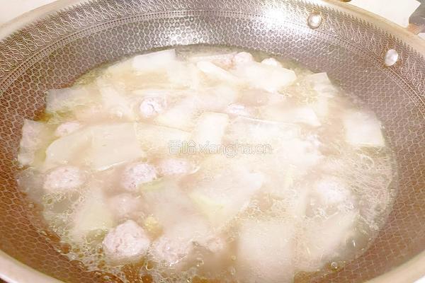 冬瓜肉丸汤的做法图解15