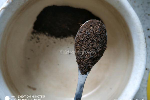 懒人自制焦糖奶茶的做法图解1