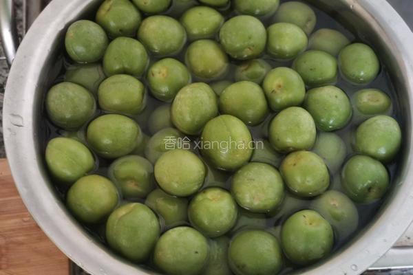 青梅酒的做法图解4